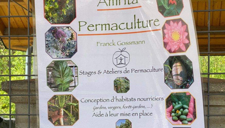 Troc-plantes : les conseils d’Amrita Permaculture !