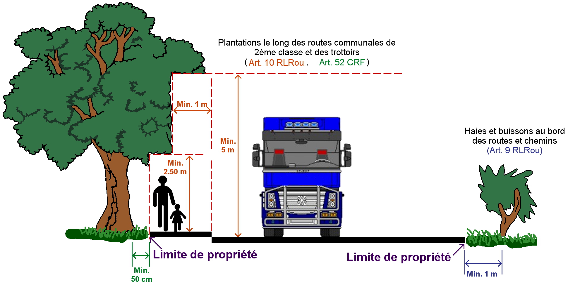 La taille des haies, c'est aussi à l'automne - Alby sur Chéran