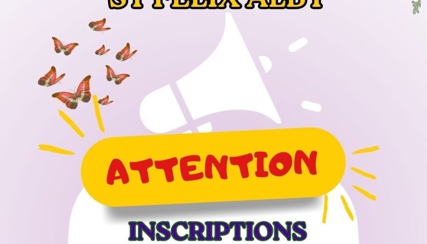 Vacances de printemps : programme de l’accueil de loisirs